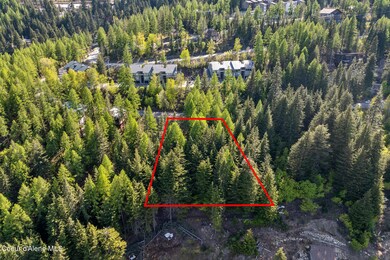 Aerial_TelemarkRdLot-2_Outlined