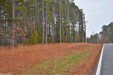 Lot 2 A Old Highway 25, Tumbling Shoals, AR 72581 - photo 2