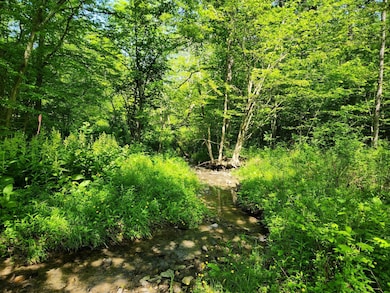 1.7 Marsh Rd unit 7, Erin, NY 14838 - photo 6