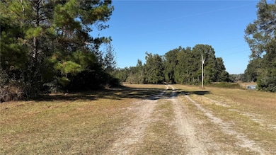 16508 NW 192nd Place, Williston, FL 32696 - photo 3