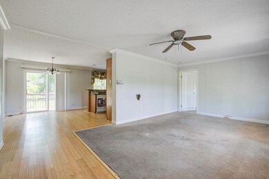 310 Gladden Ln, Cross, SC 29436 - photo 7