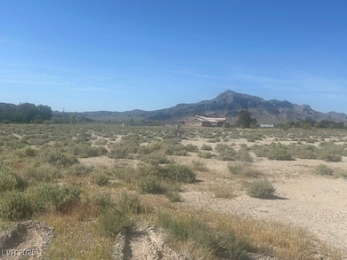 2271 W Carnation Way, Pahrump, NV 89048 - photo 4
