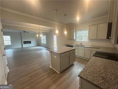 70 Meridian Point unit 182, Dallas, GA 30132 - photo 5