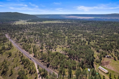 5742 Corkscrew Canyon Rd unit Lot 3, Tumtum, WA 99034 - photo 5