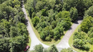 0 Wolf River Ln unit 62, Lake Lure, NC 28746 - photo 2