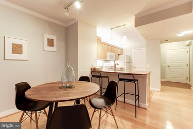 The Clara Barton at Penn Quarter unit 309, Washington, DC 20004 - photo 4