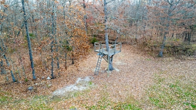 DJI_0866