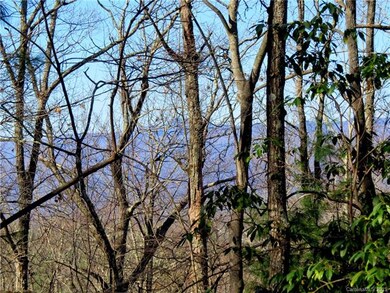 Blue Ridge Parkway View