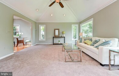 1002 Danton Ln, Alexandria, VA 22308 - photo 6