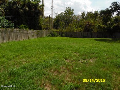 Back Yard v1