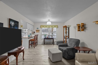 1745 Herault Place unit B, Saint Louis, MO 63125 - photo 6