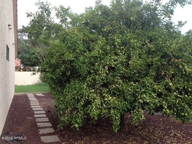 SIDE YARD