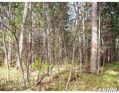 0 Hwy A unit 879438, Webster, WI 54893 - photo 2