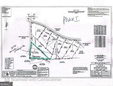 1655 Corinth Poseyville Rd, Bremen, GA 30110 - photo 2