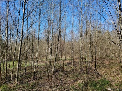 56 300th St NW, Stanwood, WA 98292 - photo 4