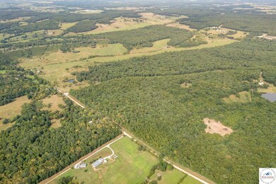 000 Luetjen Ave, Cole Camp, MO 65325 - photo 6