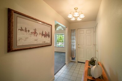 Photo-8