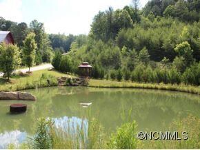 unlisted-address, Leicester, NC 28748 - photo 4