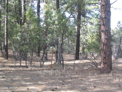 Boundary Fence