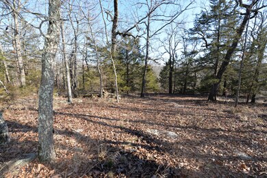 Tbd Peninsula Estates Ln, Ruth B Rural Township, MO 65686 - photo 6