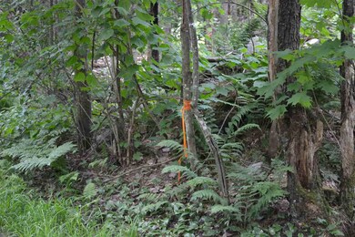 1142 Mines Rd, Lowell, VT 05847 - photo 6