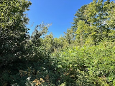 16 Dexter Rd, Garland, ME 04939 - photo 7