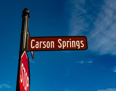 BLOCK 9 LOT 1 Carson Springs, San Antonio, TX 78255 - photo 5