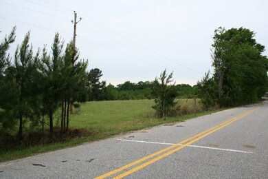 0 Augusta Highway 47, Lincolnton, GA 30817 - photo 3