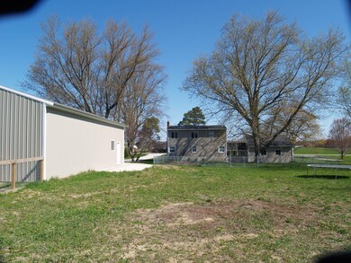 View From Back