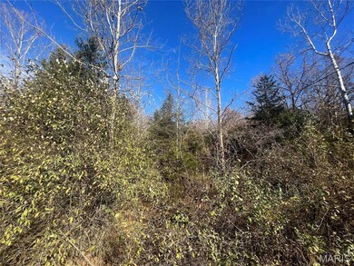 0 Rue de la Paix unit MIS25077778, Bonne Terre, MO 63628 - photo 7