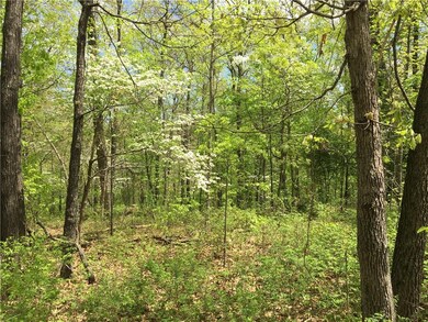 Lot 11 Ford Ln, Bella Vista, AR 72714 - photo 2