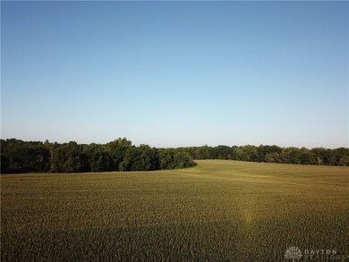 2023 Corn Crop