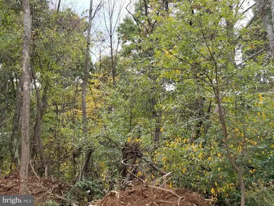 0 Lot 6 Langhorne Dr unit 1003394521, Winchester, VA 22602 - photo 7