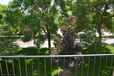 South facing treetop view