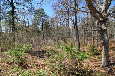 390 Capn Lijah Rd, Centerville, MA 02632 - photo 4