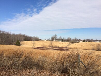 2 Oakwood Church Rd, Cedar Hill, TN 37032 - photo 5