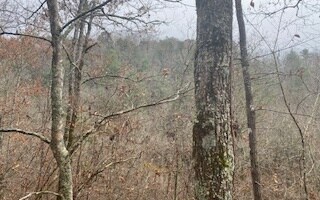 L771 Naomi Ct, Ranger, GA 30734 - photo 4