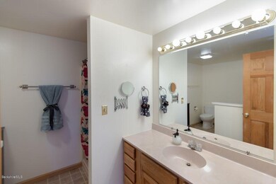 Fred Snow Master Bath