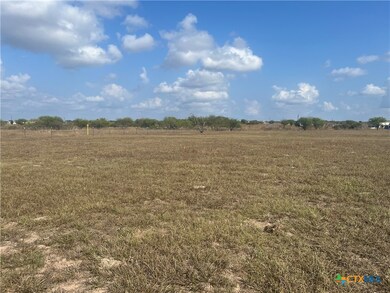 255 Salt Grass Ln, Victoria, TX 77904 - photo 4