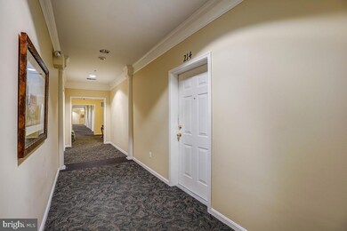 2605 Chapel Lake Dr unit 214, Gambrills, MD 21054 - photo 5