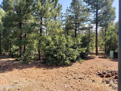 4750 W Acer Ln, Show Low, AZ 85901 - photo 4