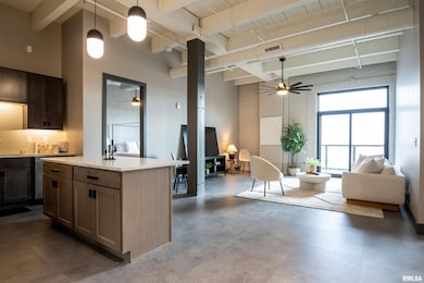 1001 SW Adams St unit 207, Peoria, IL 61602 - photo 5