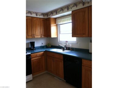 Kitchen overlooks back yard.