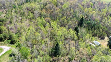 DJI_0168
