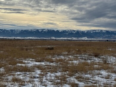 IMG_2254