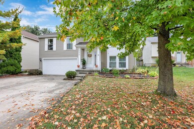 4-web-or-mls-0D3A9441