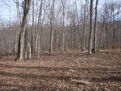 77 Driftwood Dr, Gerrardstown, WV 25420 - photo 5