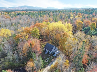 Aerial (3)