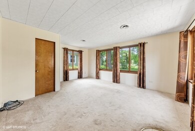 884 S 3rd Ave, Des Plaines, IL 60016 - photo 7
