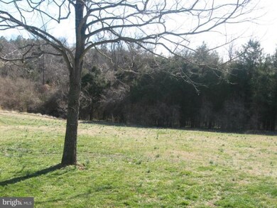 10040 Dulaney Rd, Rixeyville, VA 22737 - photo 7